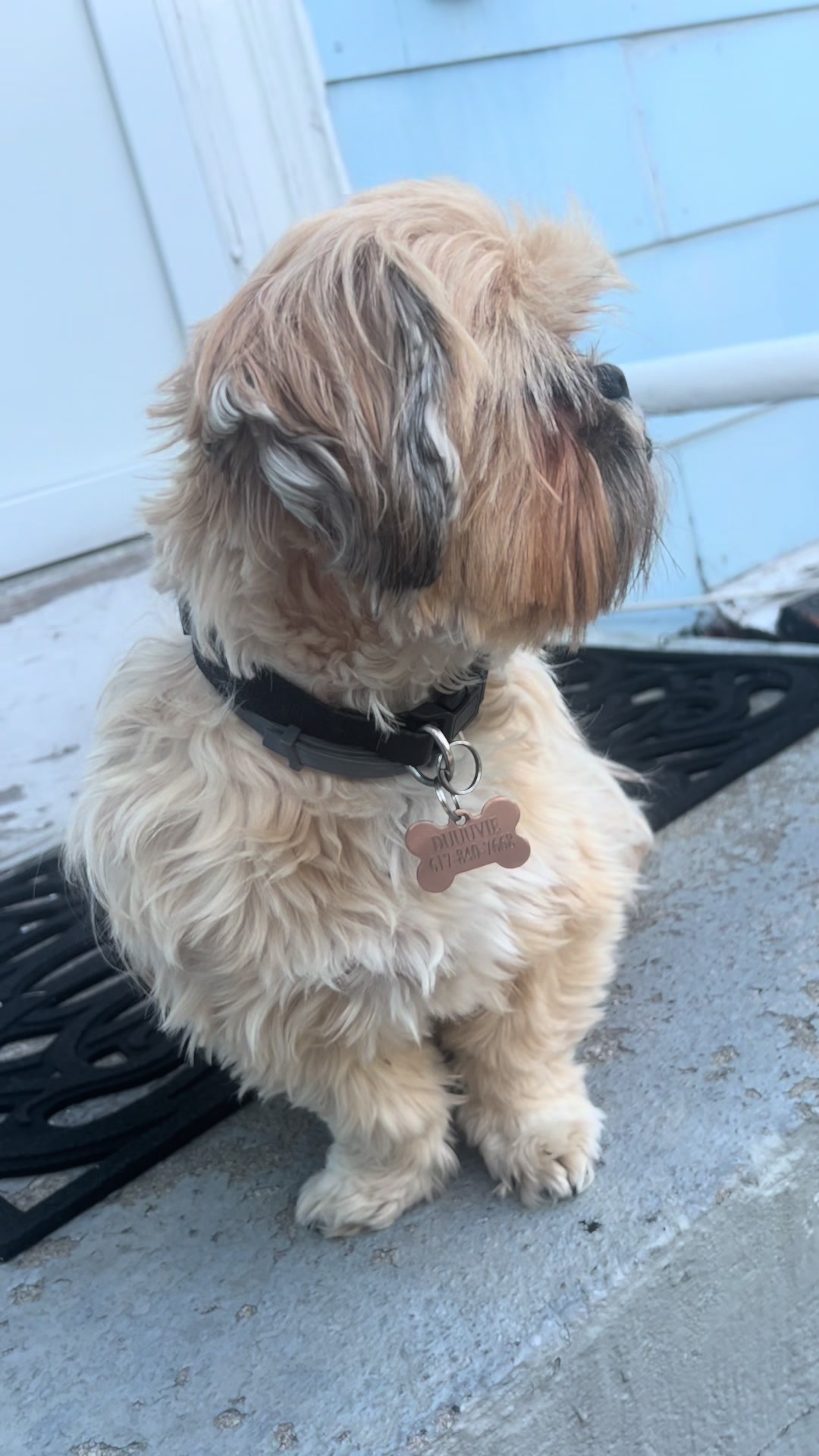 @Duuuviethedog