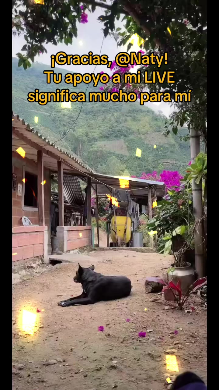 @𝐍𝐀𝐑𝐔𝐎𝐅𝐈𝐂𝐈𝐀𝐋 🫡💕