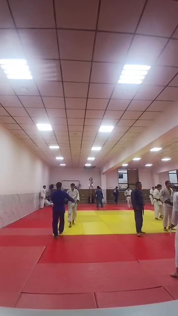 @mir_judo