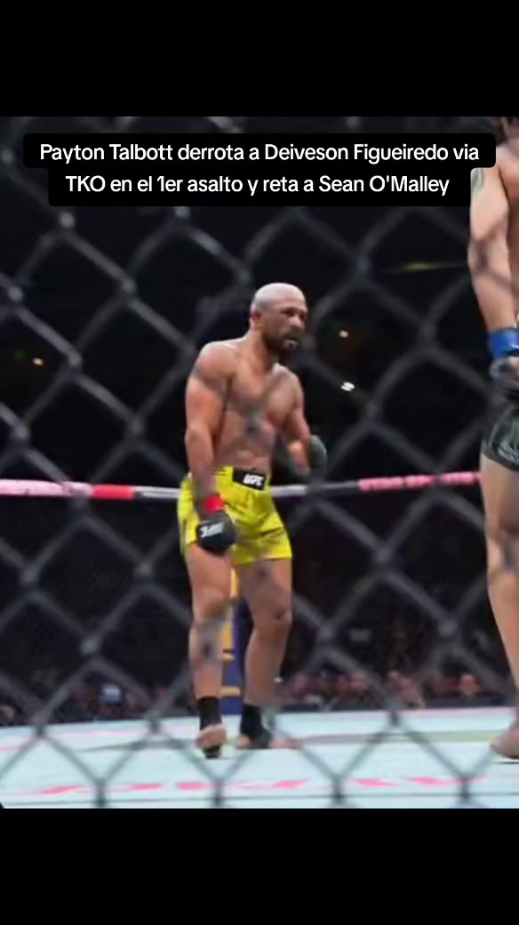 @GLOBALMMA