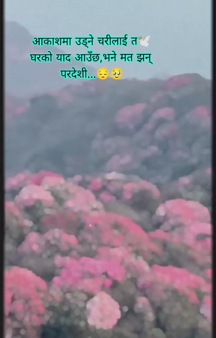 @राज कुलुङ राई 🗣️
