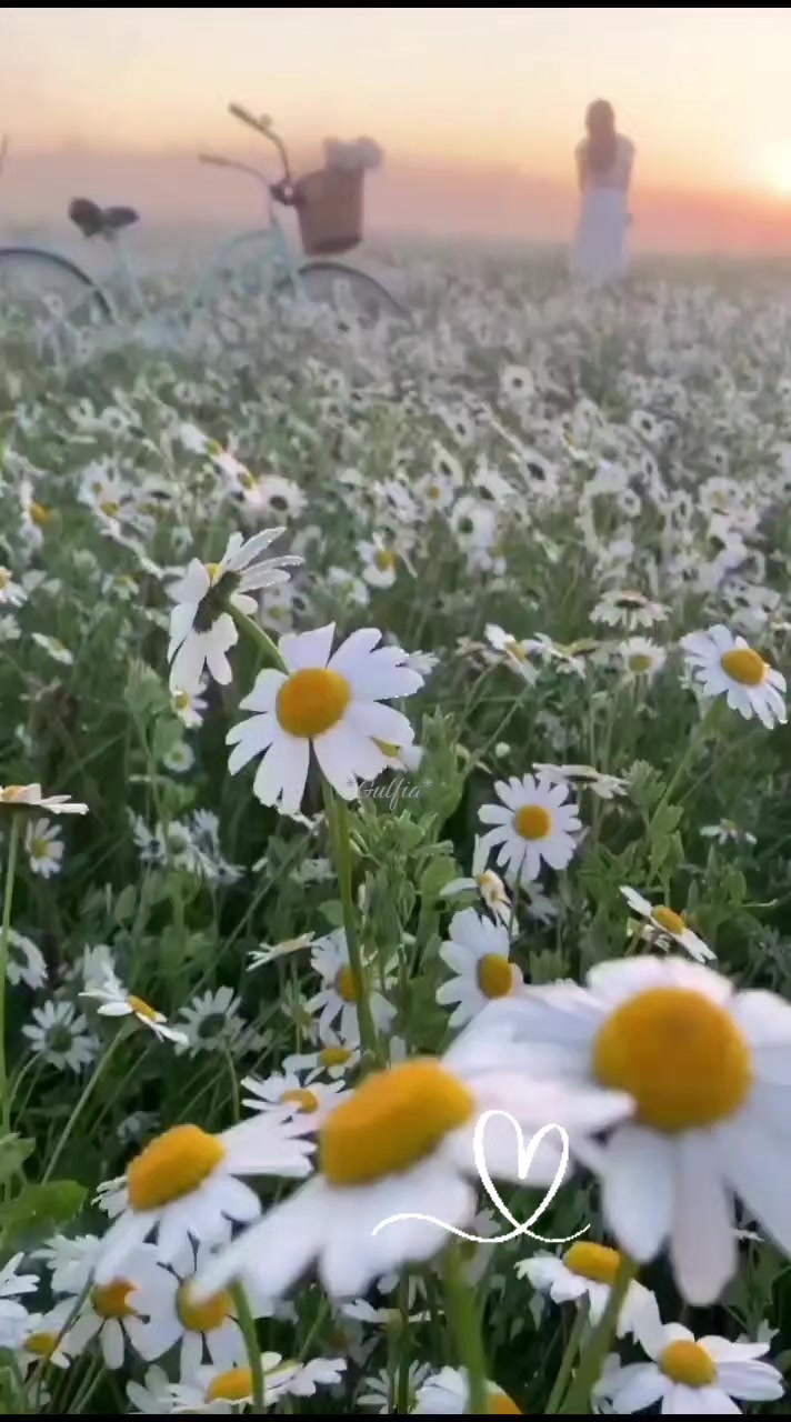 @Гульфия