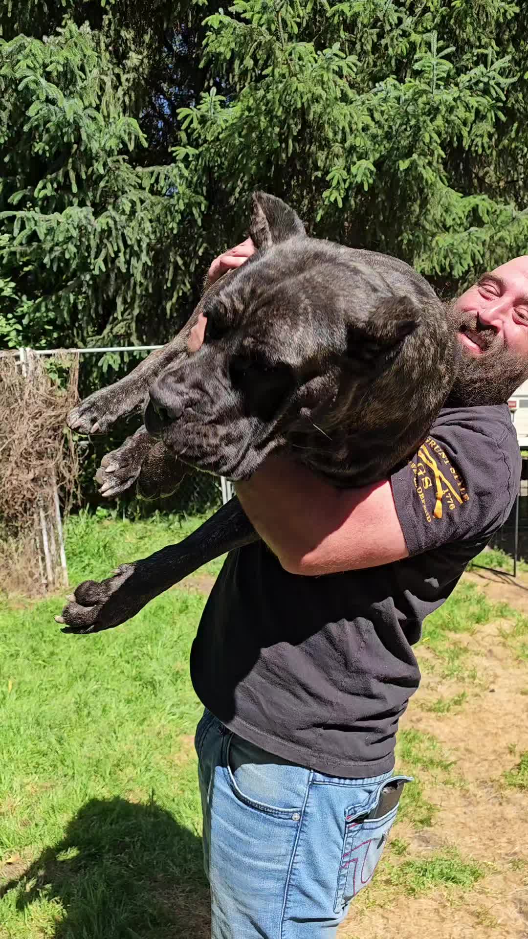 @SalmonCreekCaneCorso