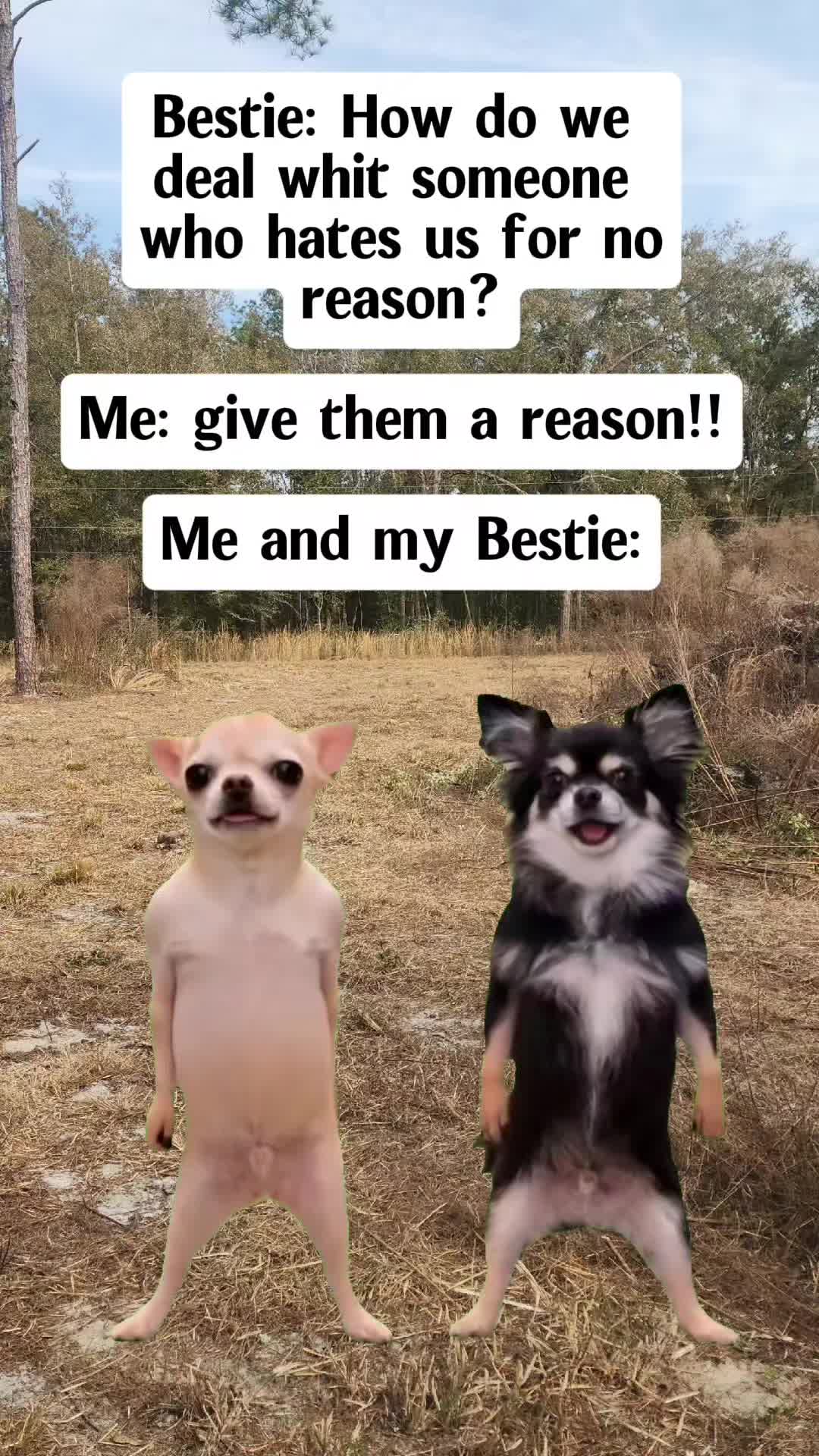 @Shawnie826❌️