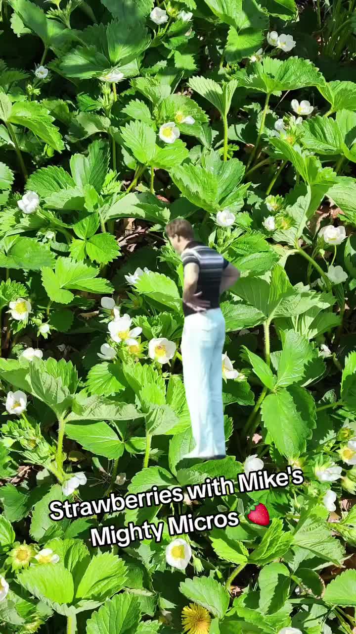 @Mike's Mighty Micros