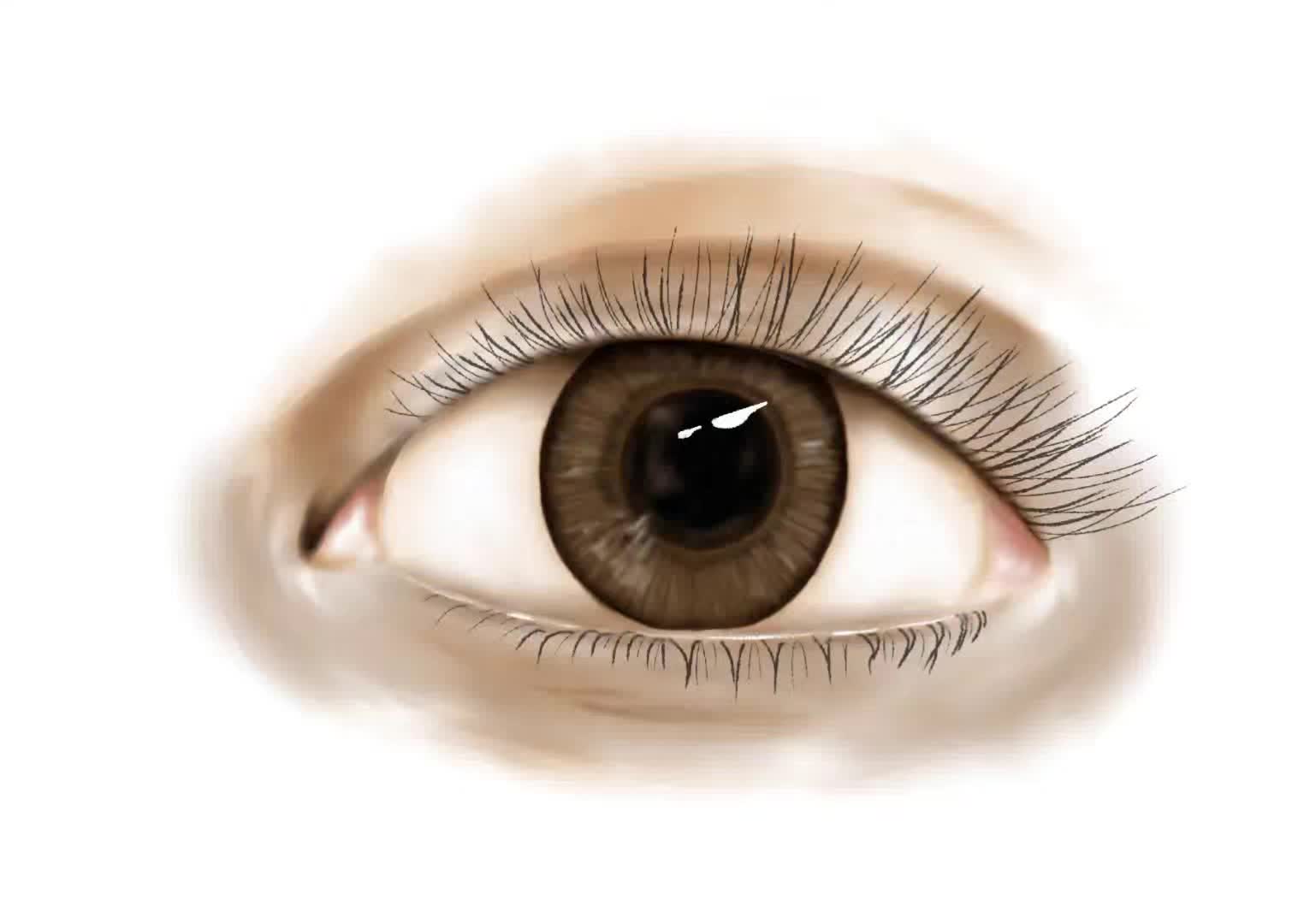 @SarahDraws