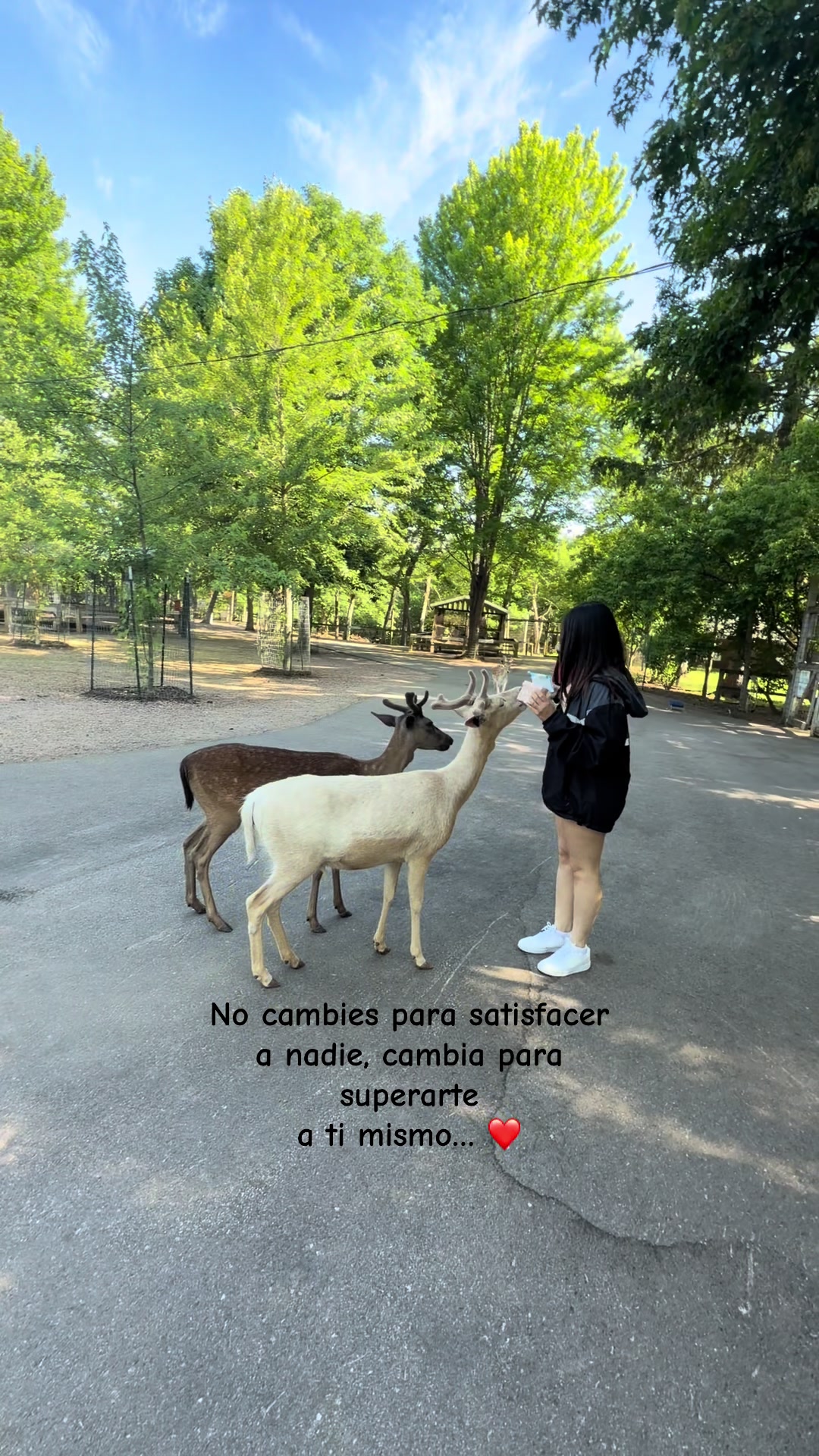 @Delinais.🦋