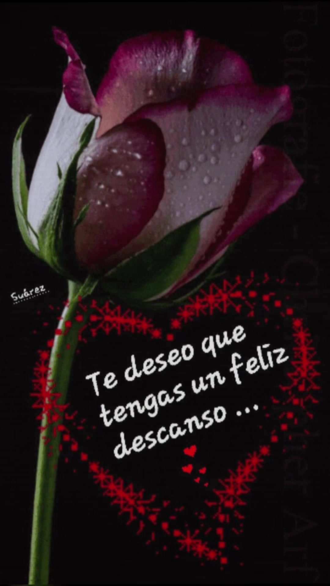 @elvirasvg