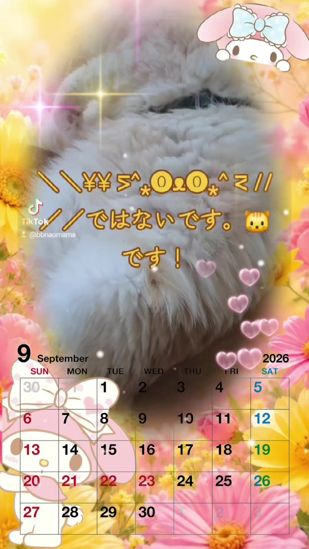 @๐ฎ๐ฎ๐๐³โ๐๐naomama