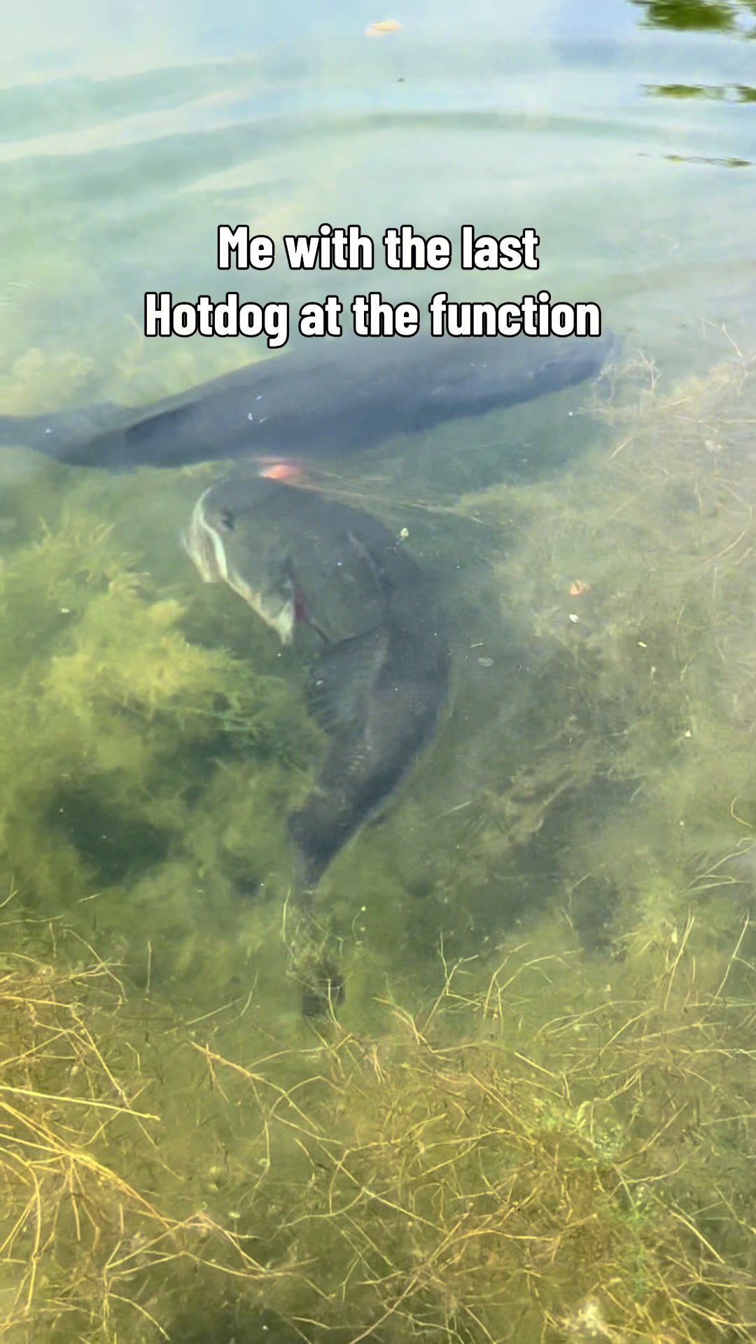 @Anglers3dOutpost