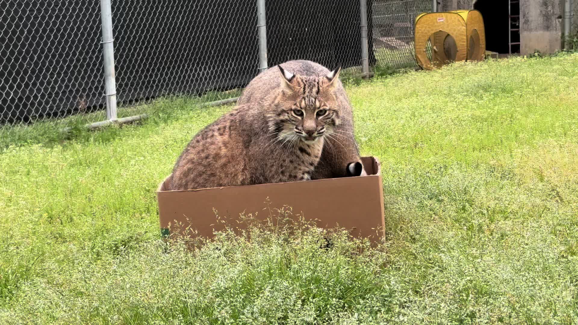 @Cedarhill Animal Sanctuary