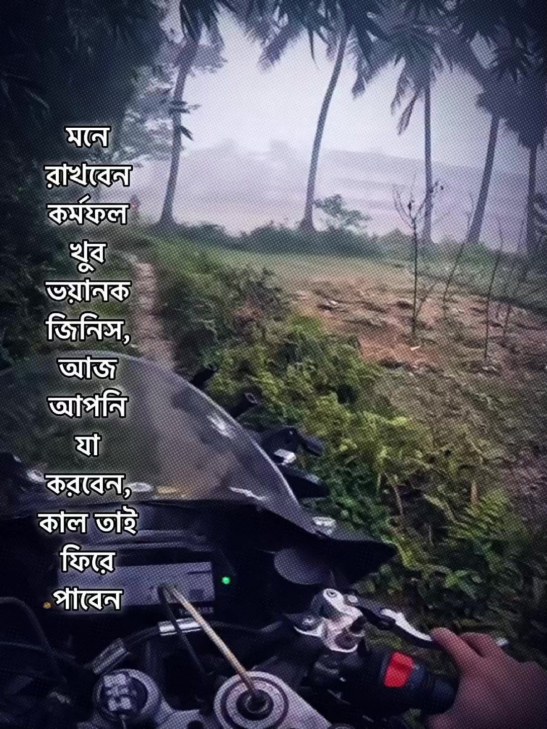 @Rashed Chowdhury