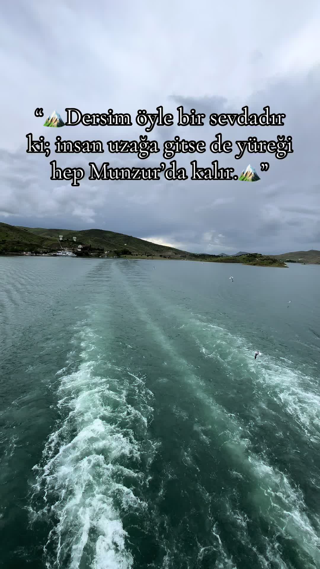 @๐๐ถ๐๐๐๐ธ๐
๐ฎ๐ผ๐๐๏ธ