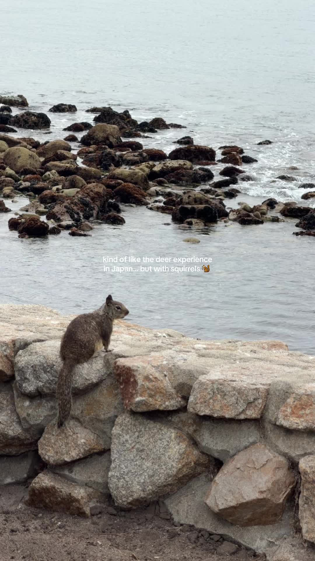 @PickyTravellers | Jane🧡Justin