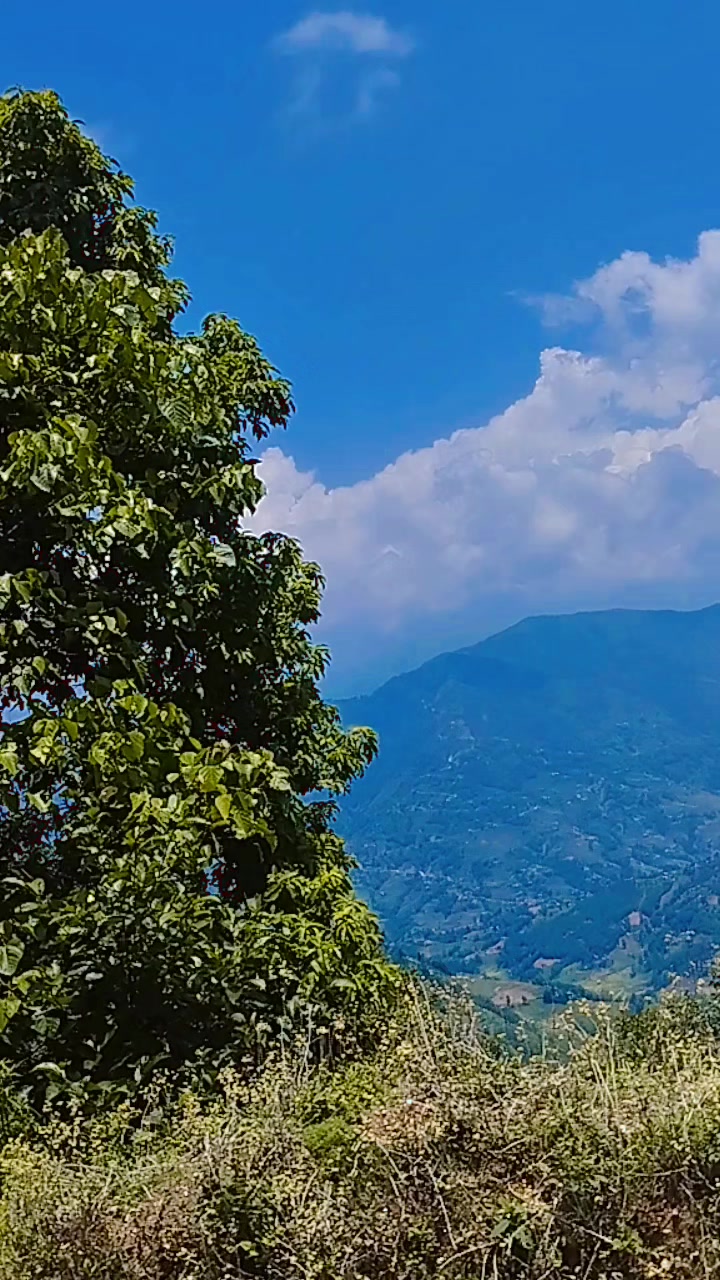 @situKhadgi 12