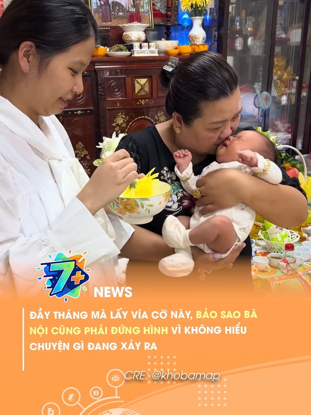 @7 Plus News