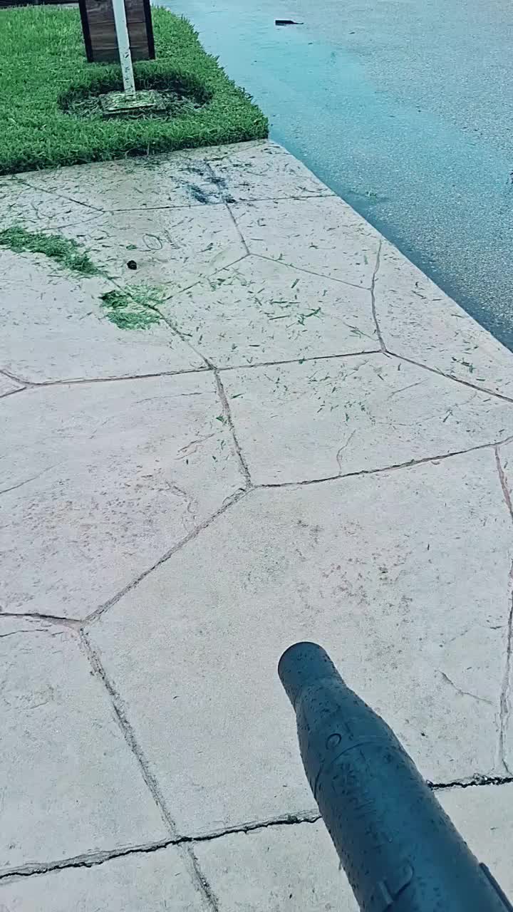@Elisa2001