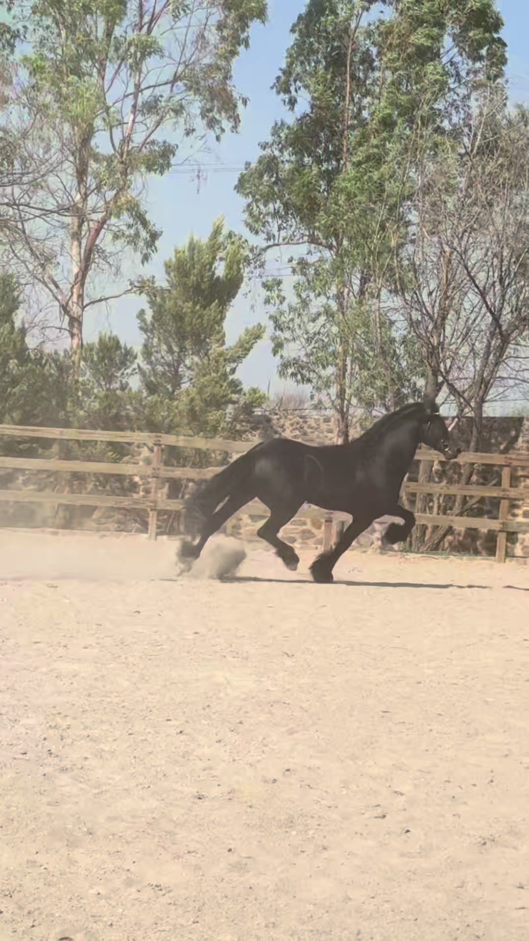 @Rancho el descanso GDL