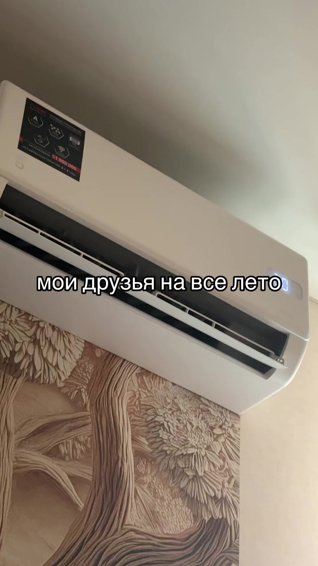 @Kaja