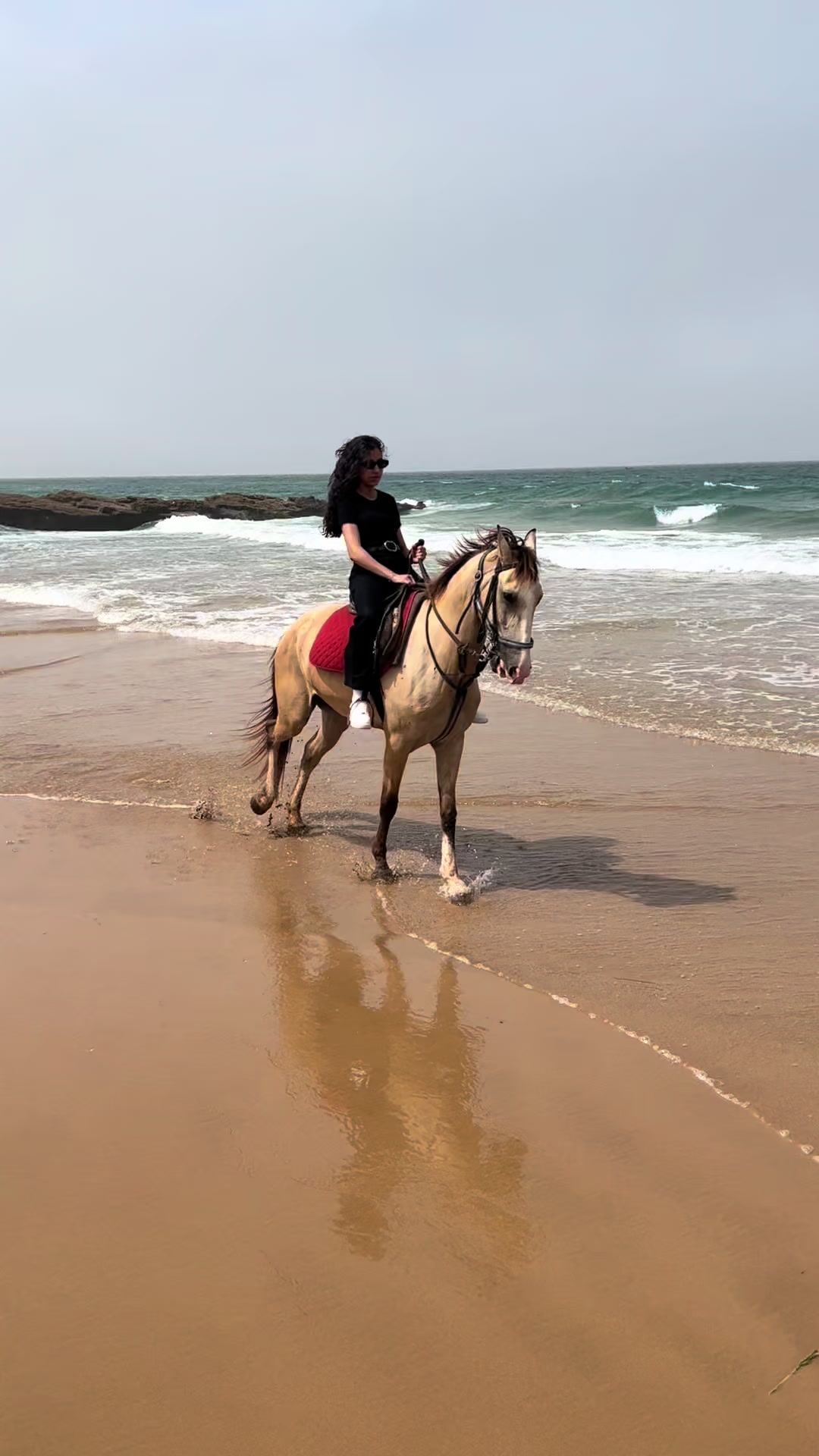 @Cheval_agadir