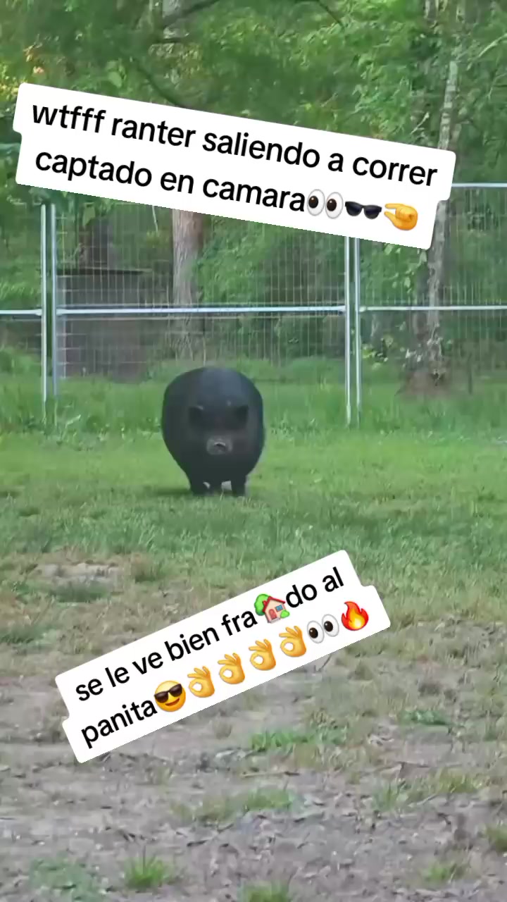 @ian68303