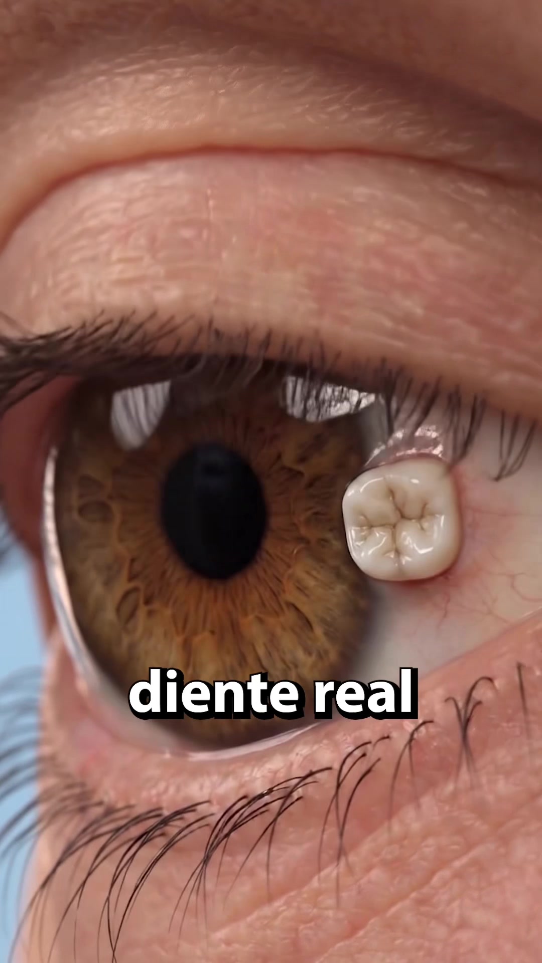 @homosapiens