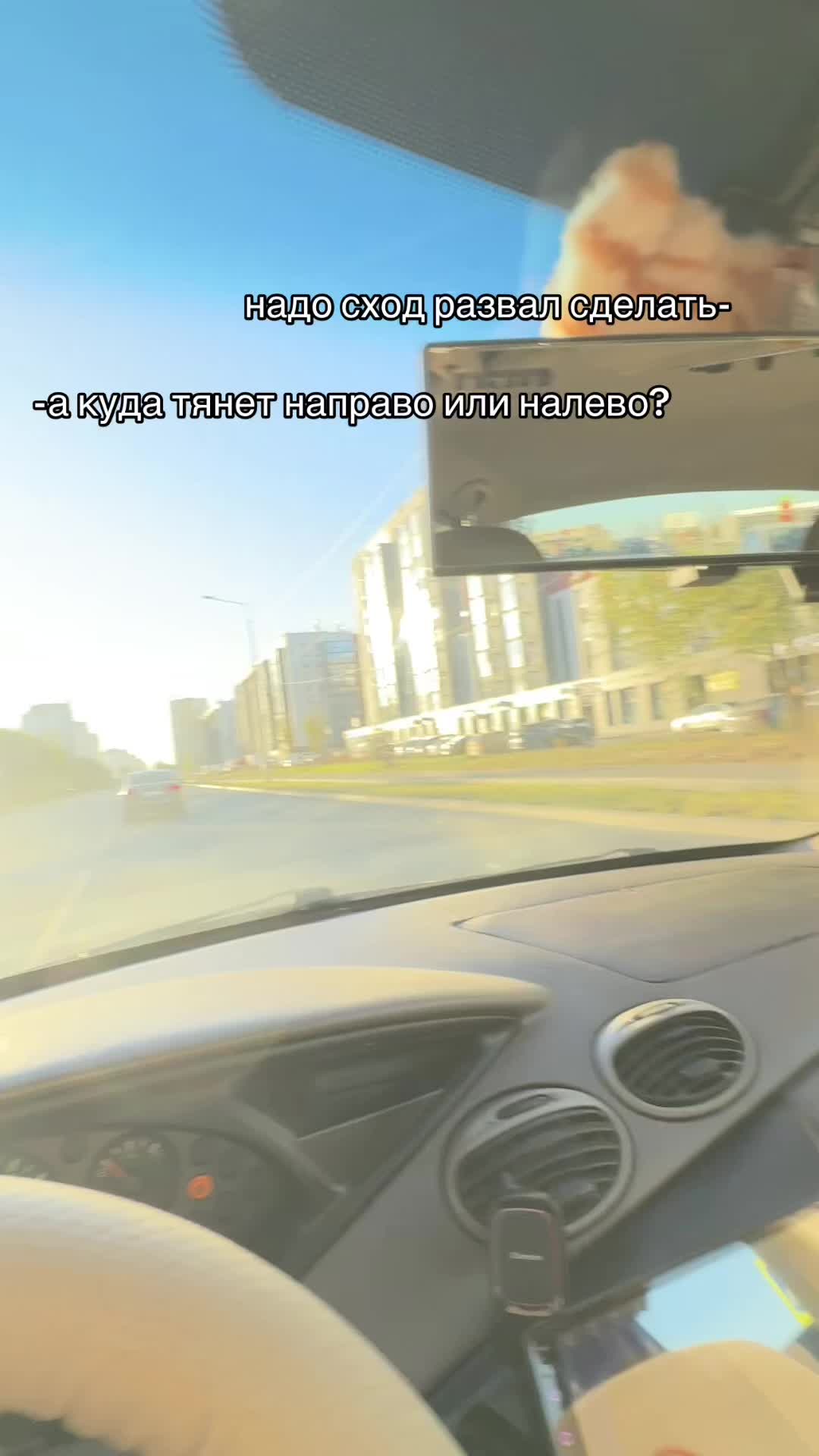 @тгк : Dishka🐾