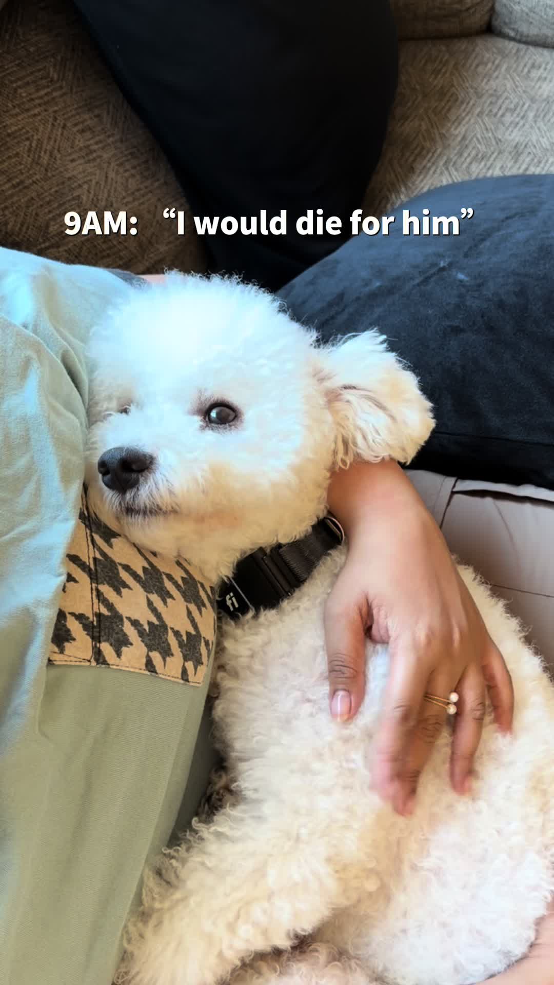 @sammy__and__gabby