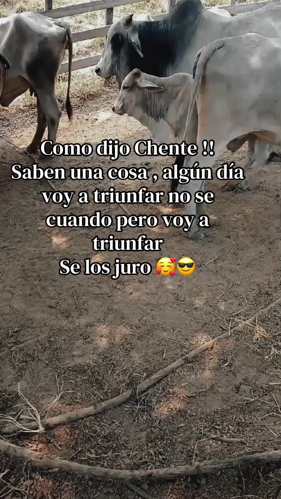 @🌺✨Sammy🌺🌸