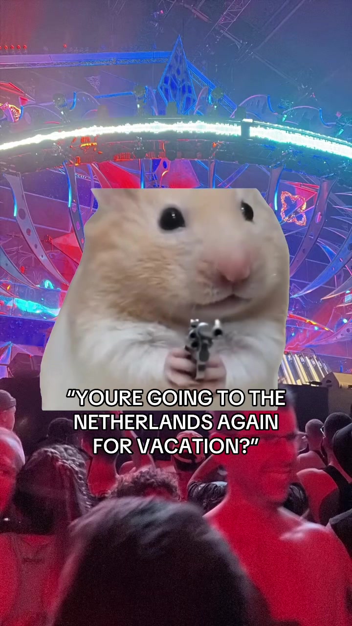 @Hercreator 🦘