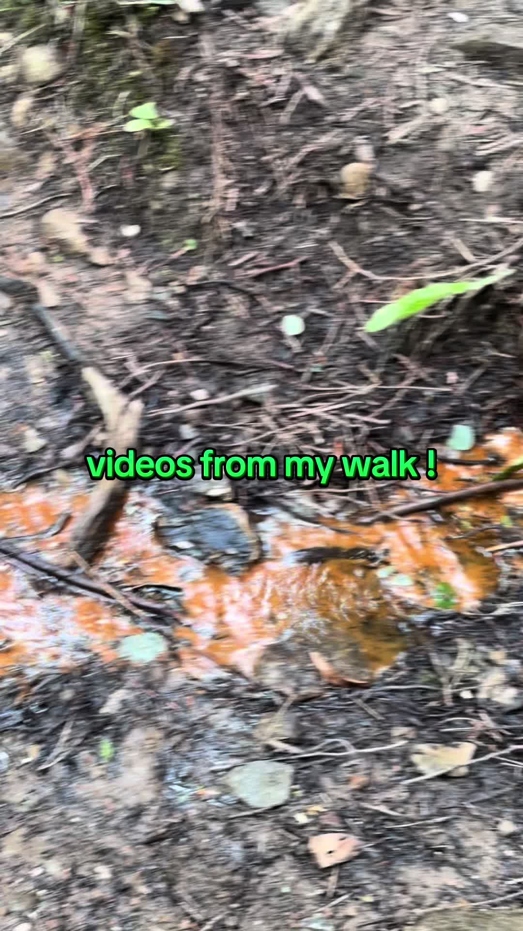 @chairish