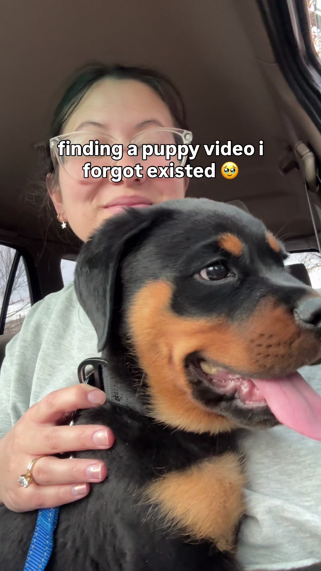 @Rex the Rottweiler