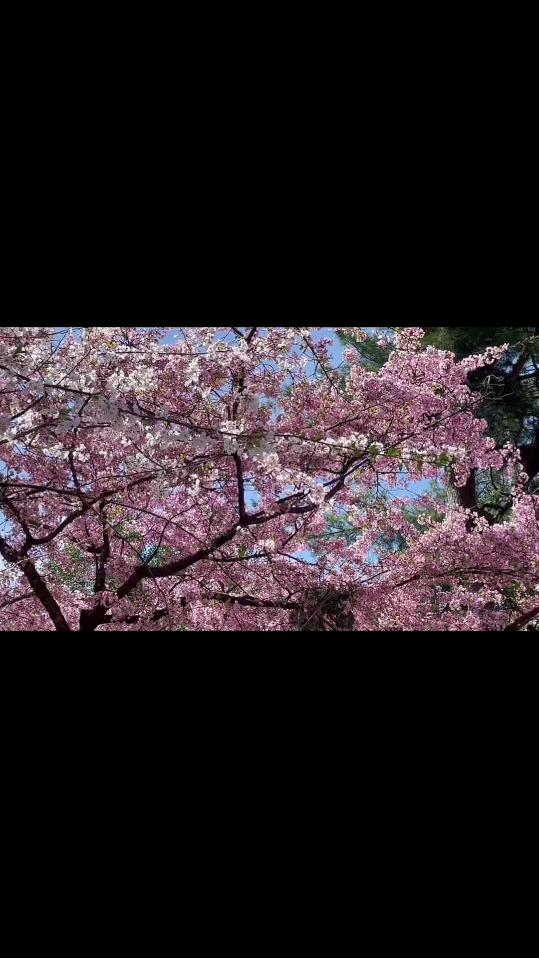 @ֆɦɨȶʐʊӄɛ