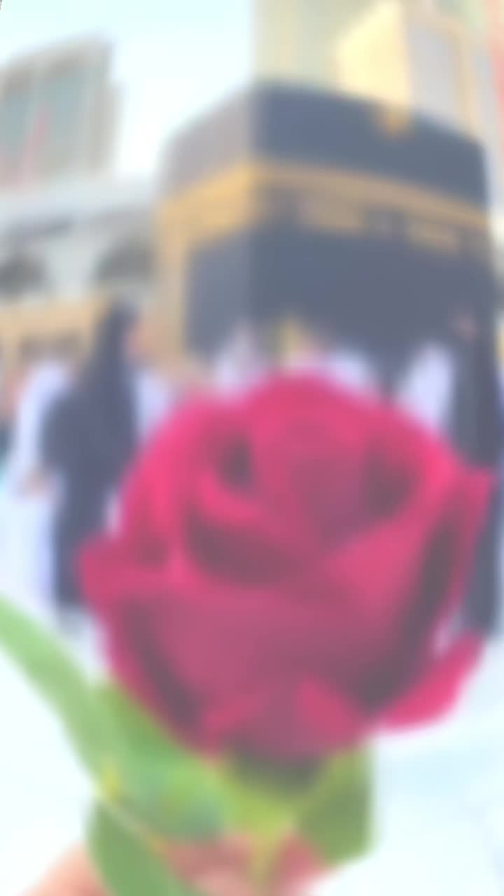 @*Ᏼ͜ᴀ̐͜ᴅ̐͜Տ͜ʜ̐͜ᴀ̐͜Ꮋ͜👑46