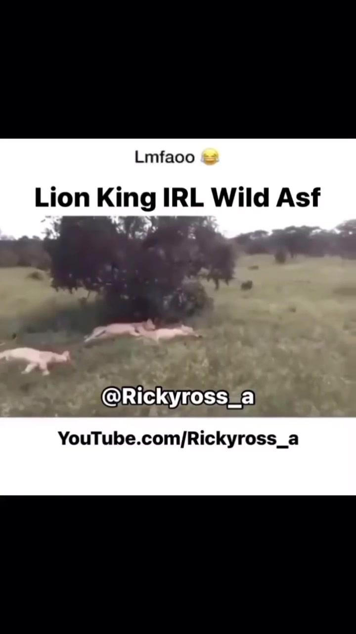 @Rickyross_a