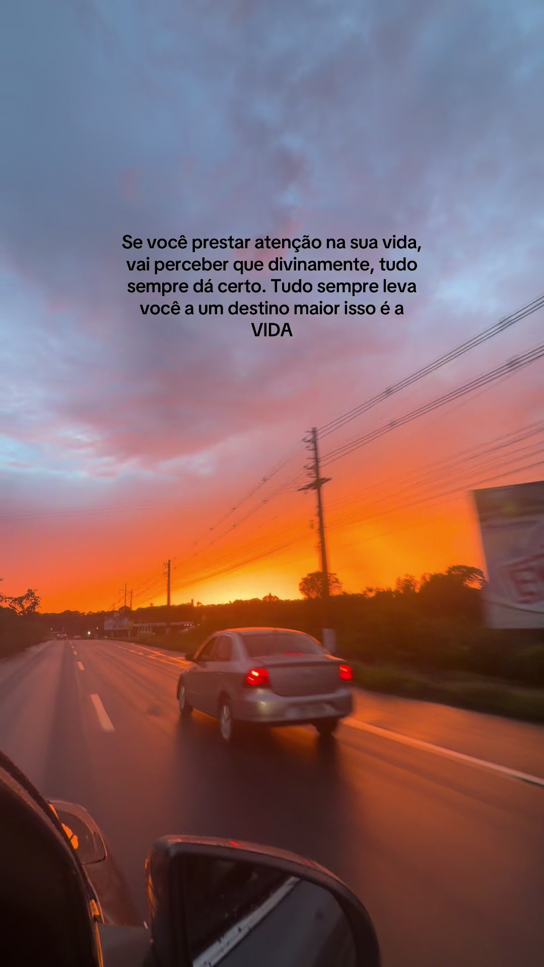 @Elisandra Monteiro