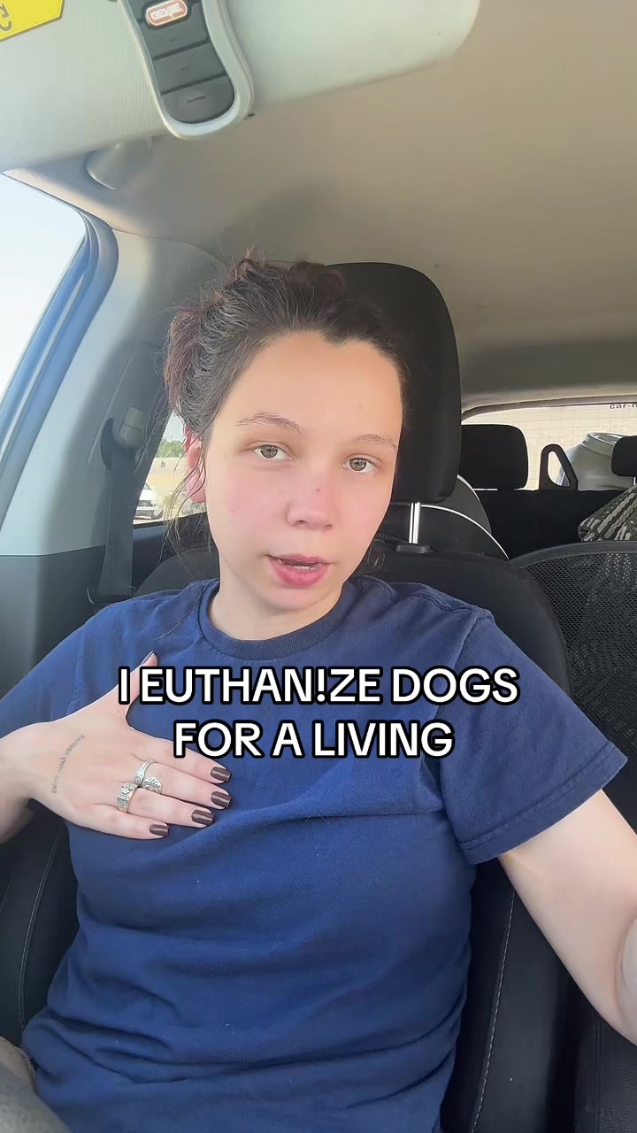 @Kayleigh + Dogs