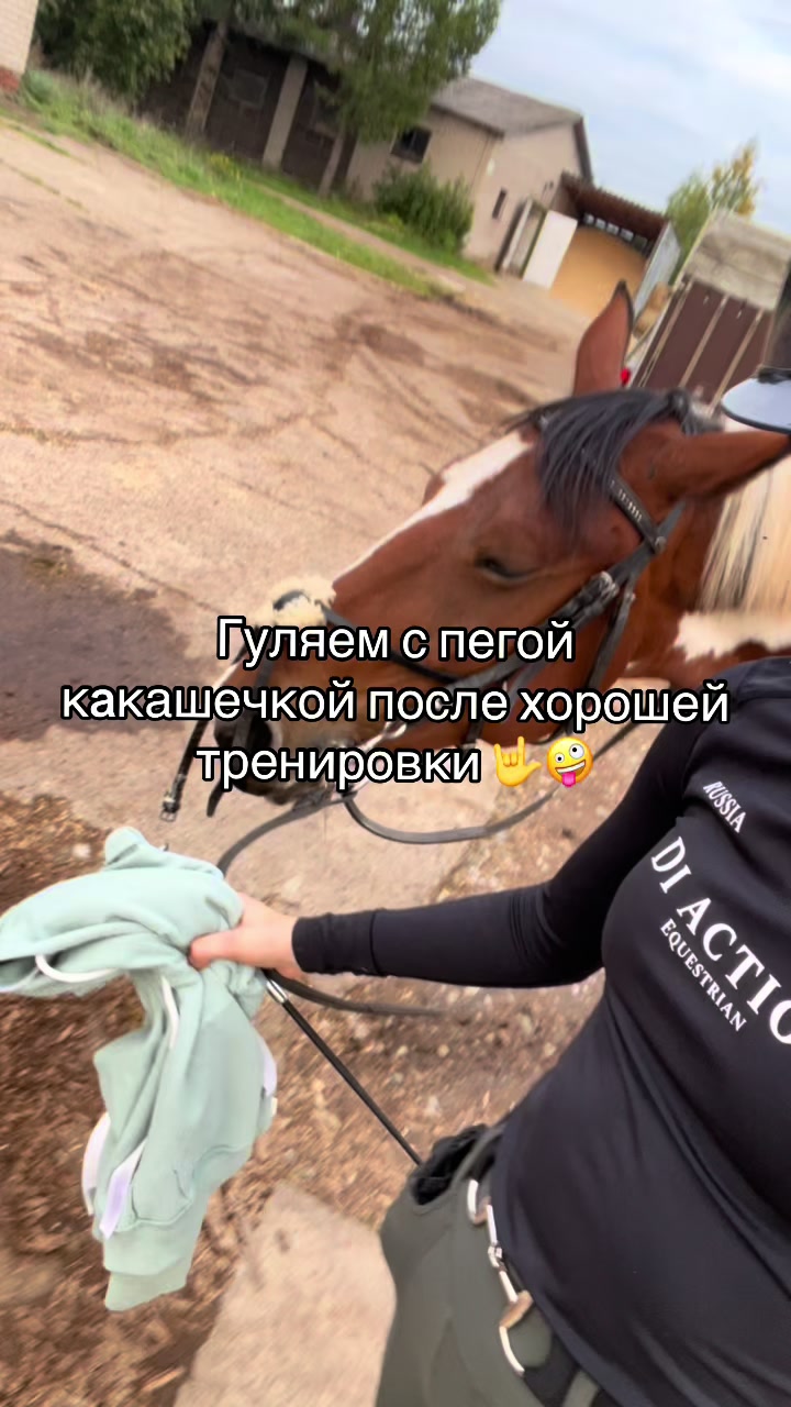 @Ли🐴
