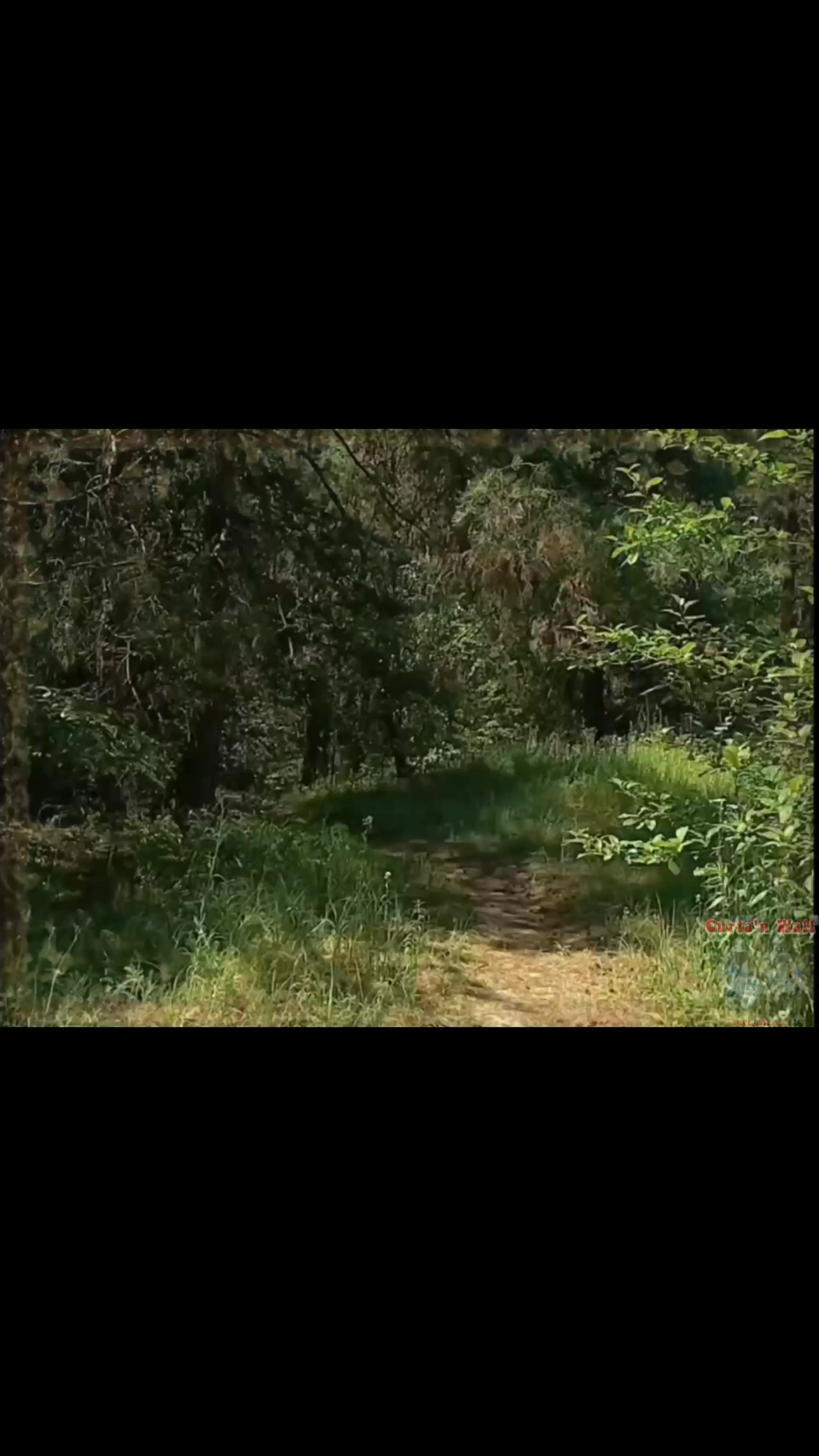 @✞🐈&zwj;⬛𝔅𝔩𝔞𝔠𝔨𝔦𝔢🌲⛤