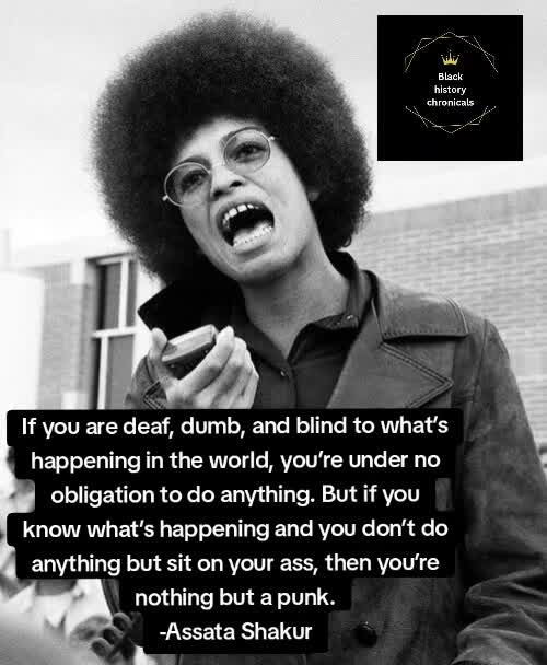 @Black History Chronicles