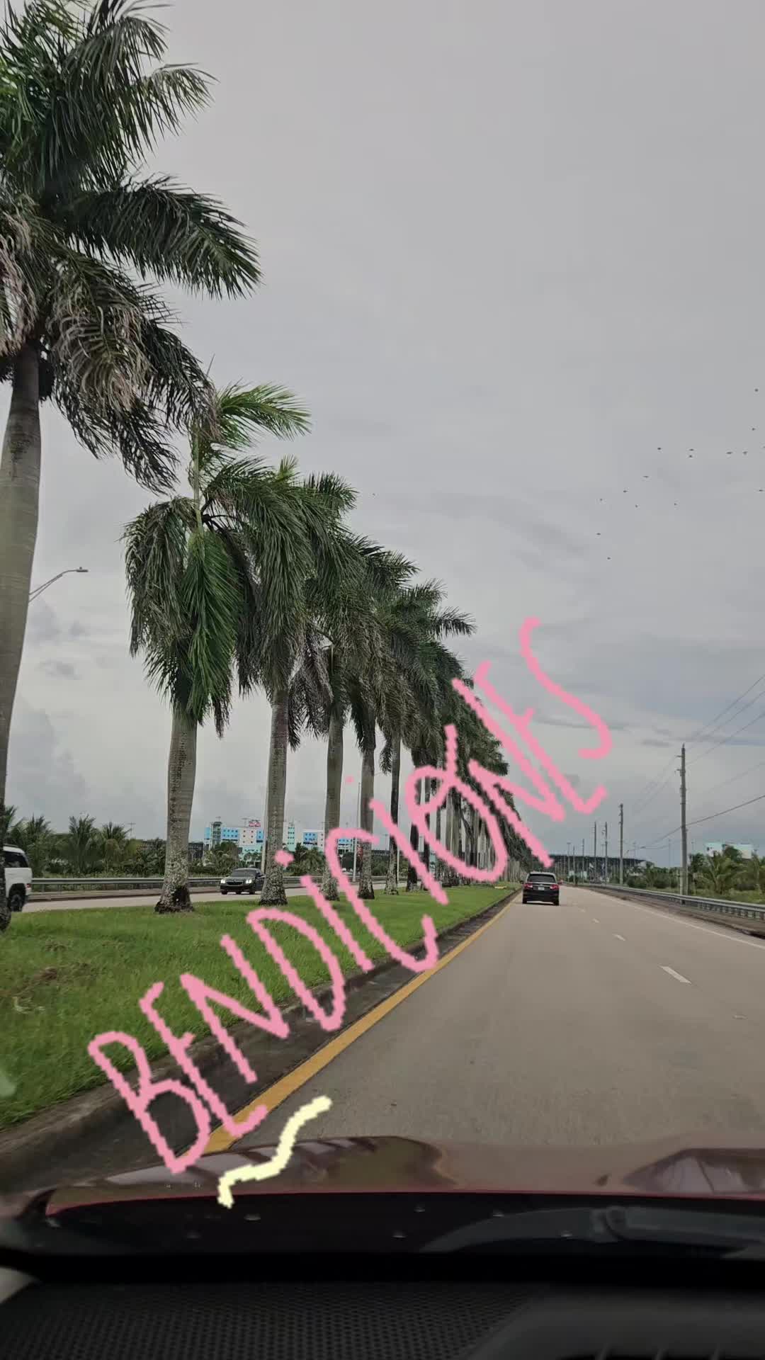 @ANJELICA@
