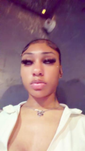 @Winter Dabrat🎀
