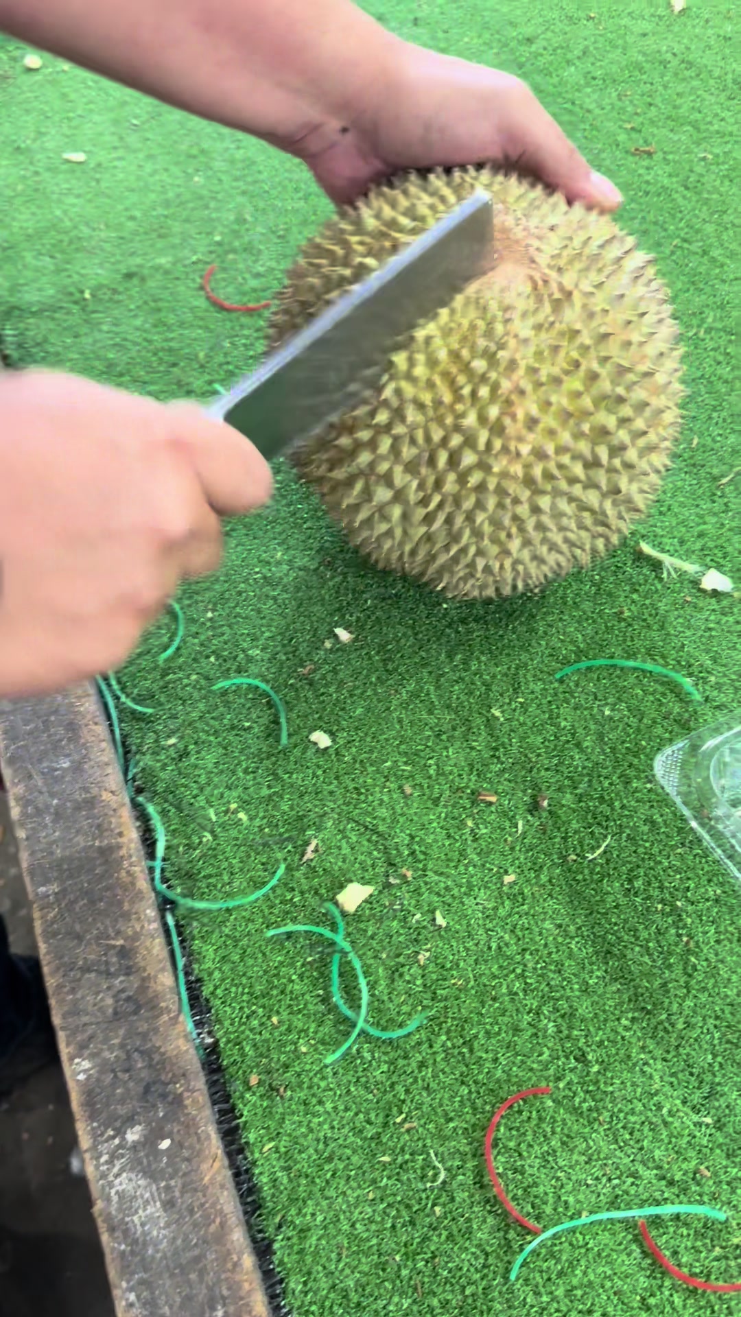 @Durian Batu 6