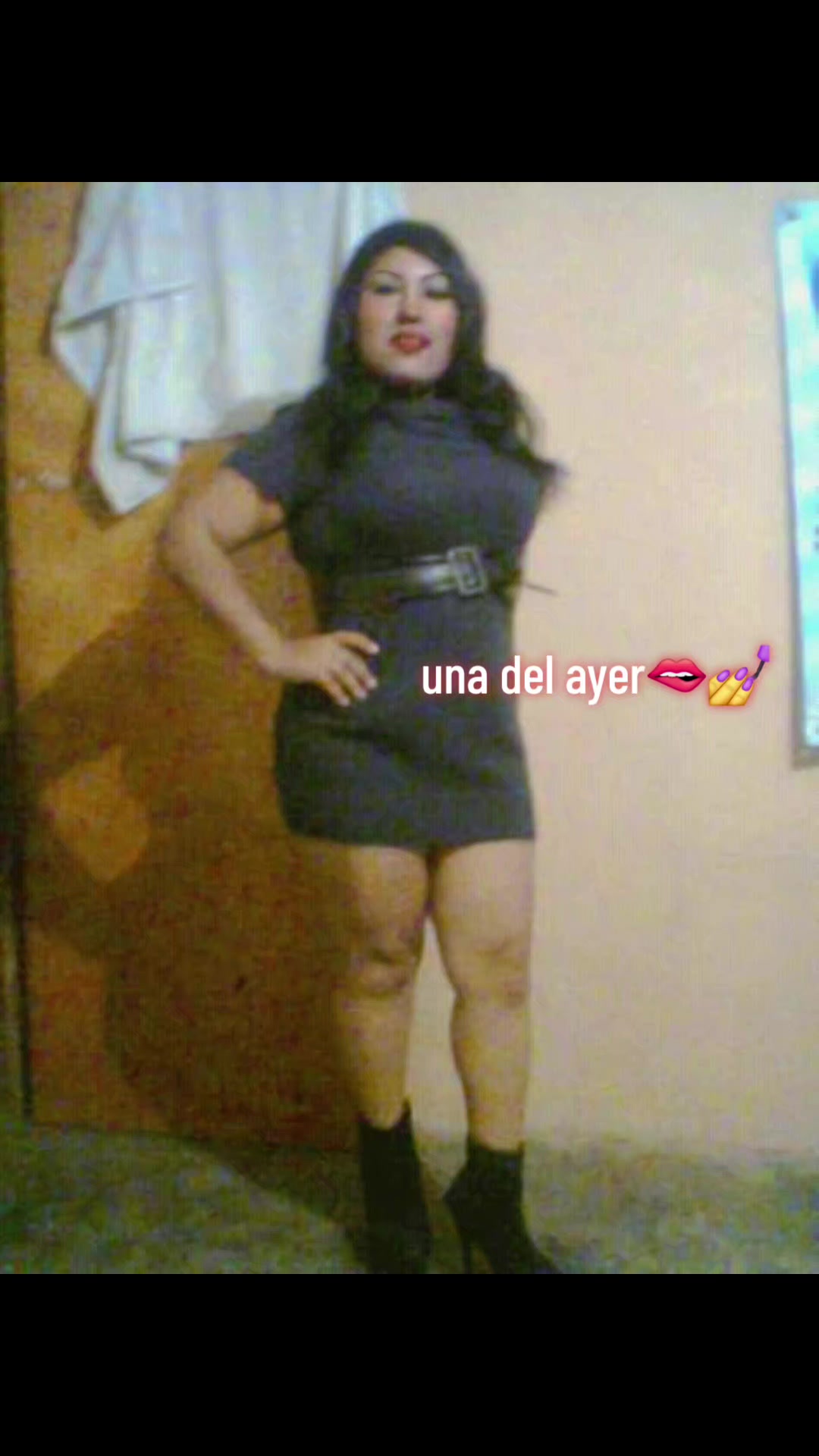 @frijolito 🐈⬛