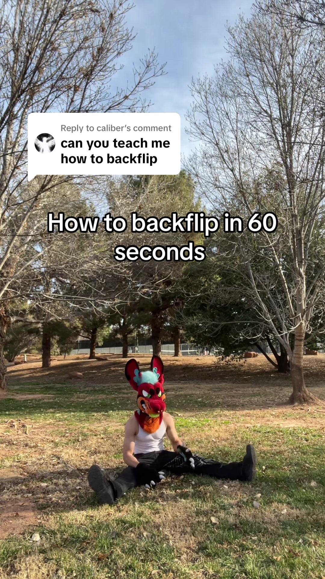 @Rojoroo