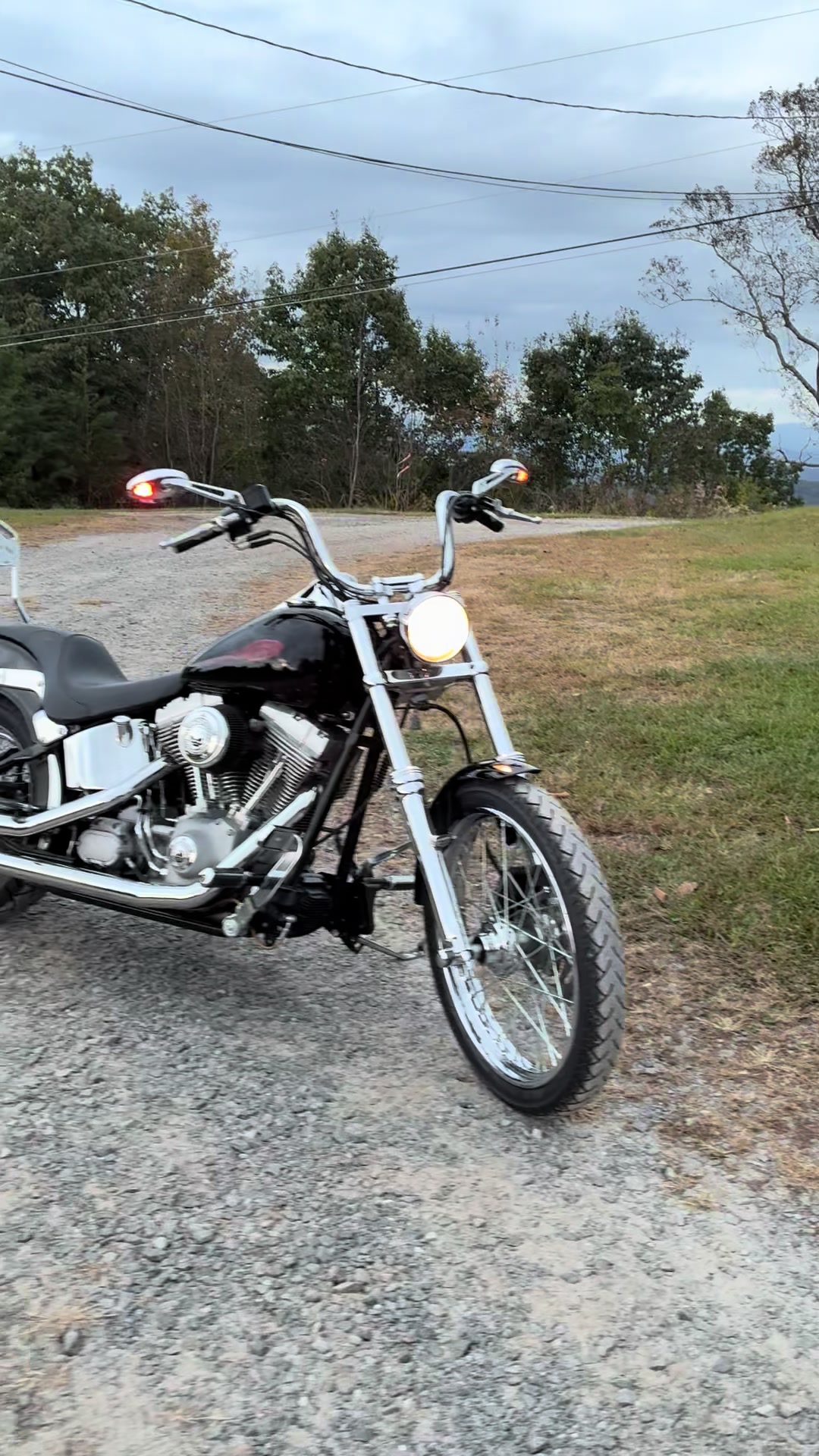 @Harley King