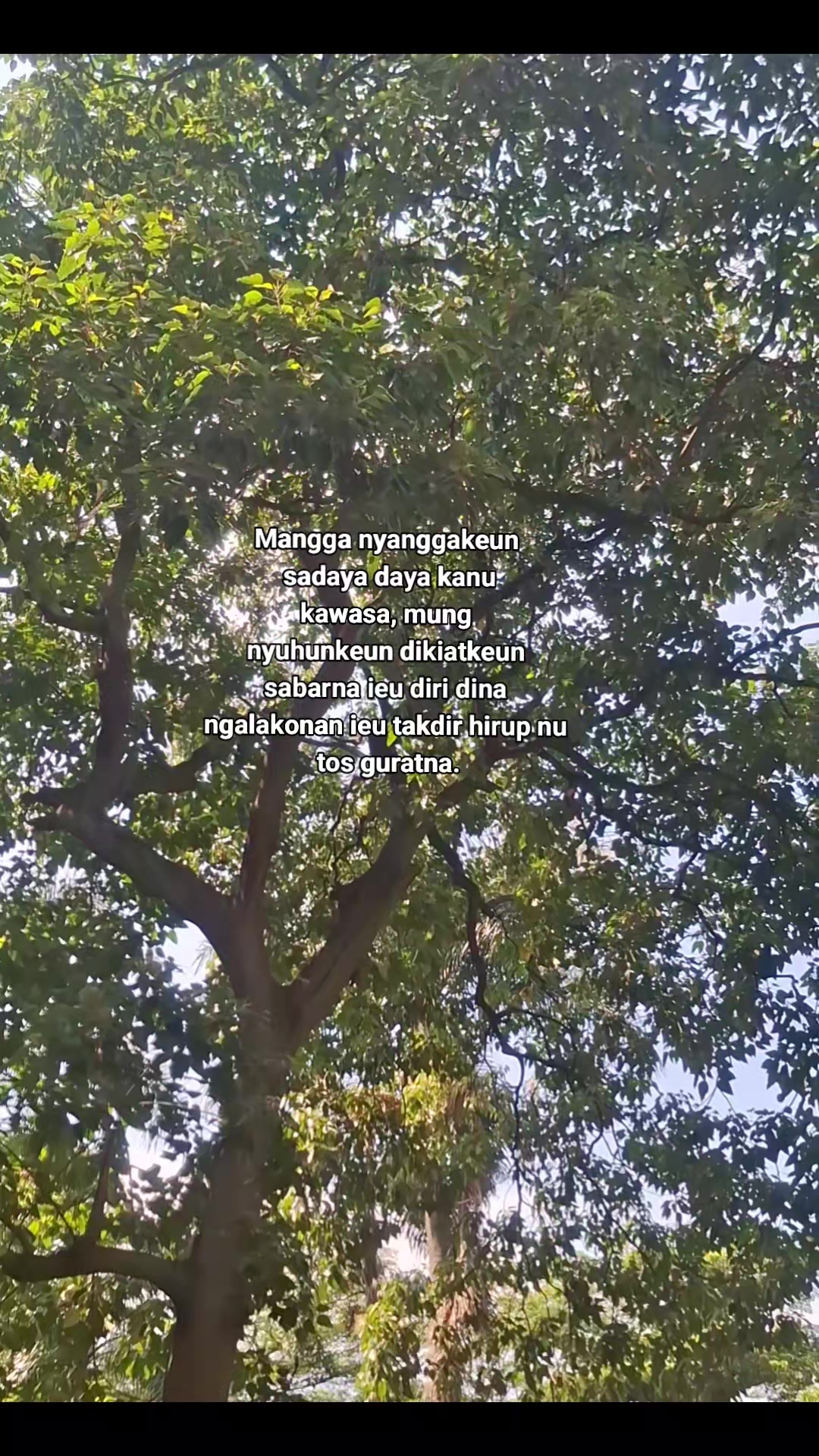 @HoneyAja🌺