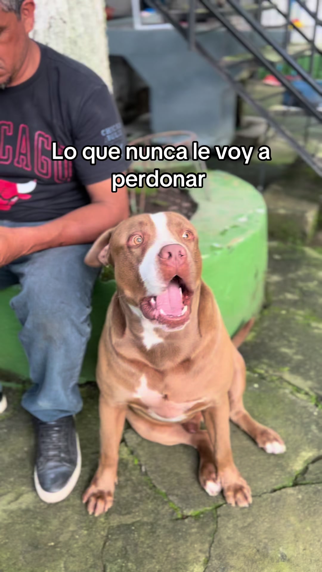 @michelle__alvanez