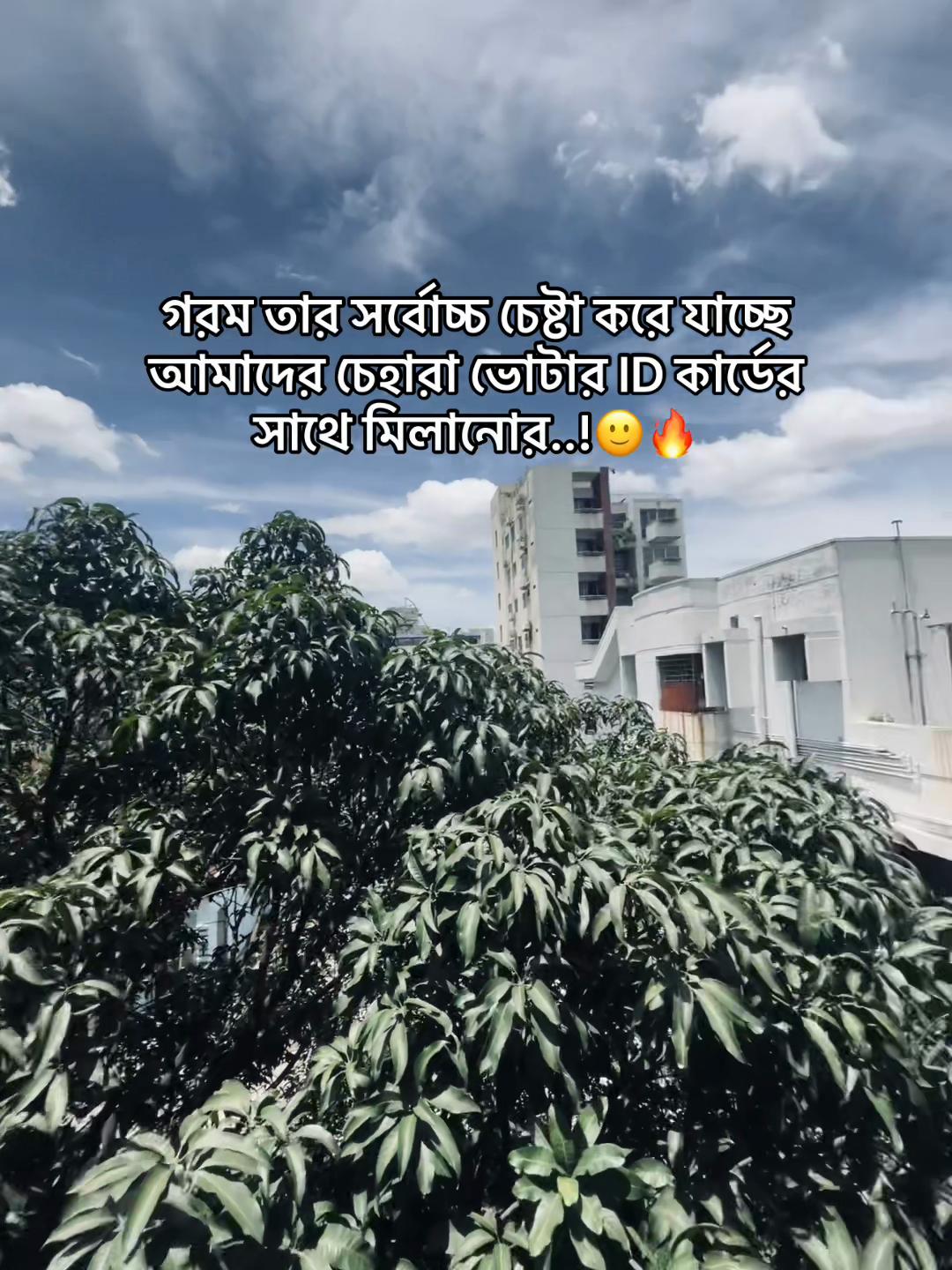 @Ꭲʜᴇ ✓ Ꮇᴀꜱᴛᴇʀ 