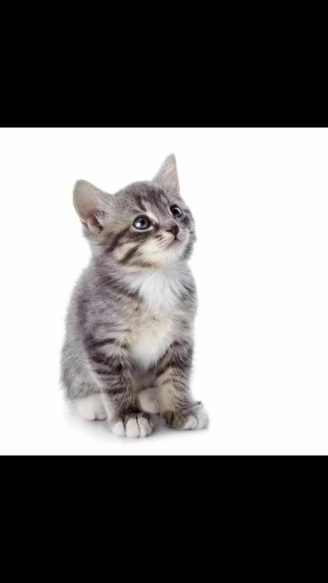 @!?